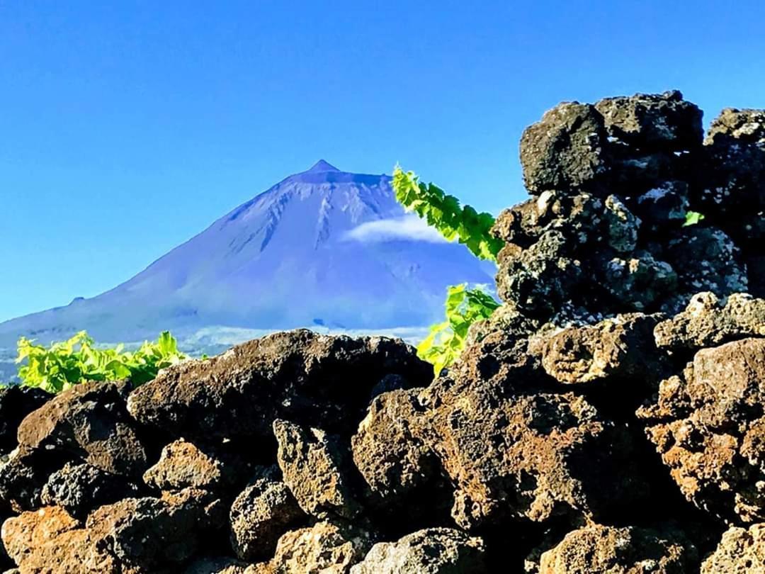 Baco'S Vineyard Villa Lajido Kültér fotó