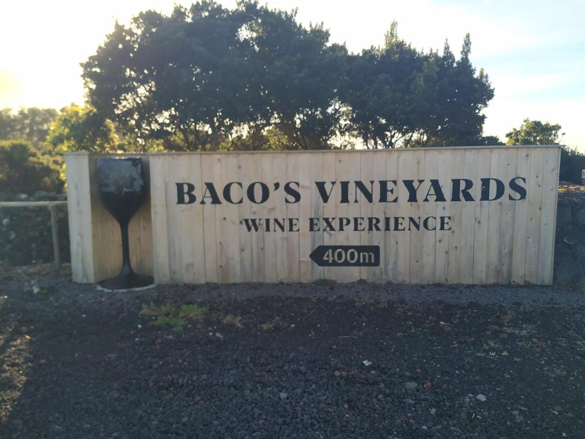 Baco'S Vineyard Villa Lajido Kültér fotó